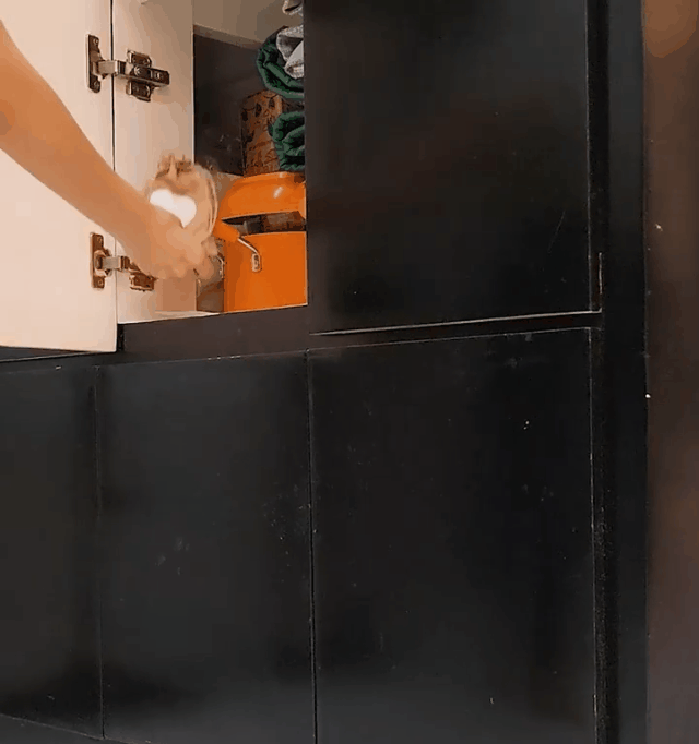 1719046659557595.gif